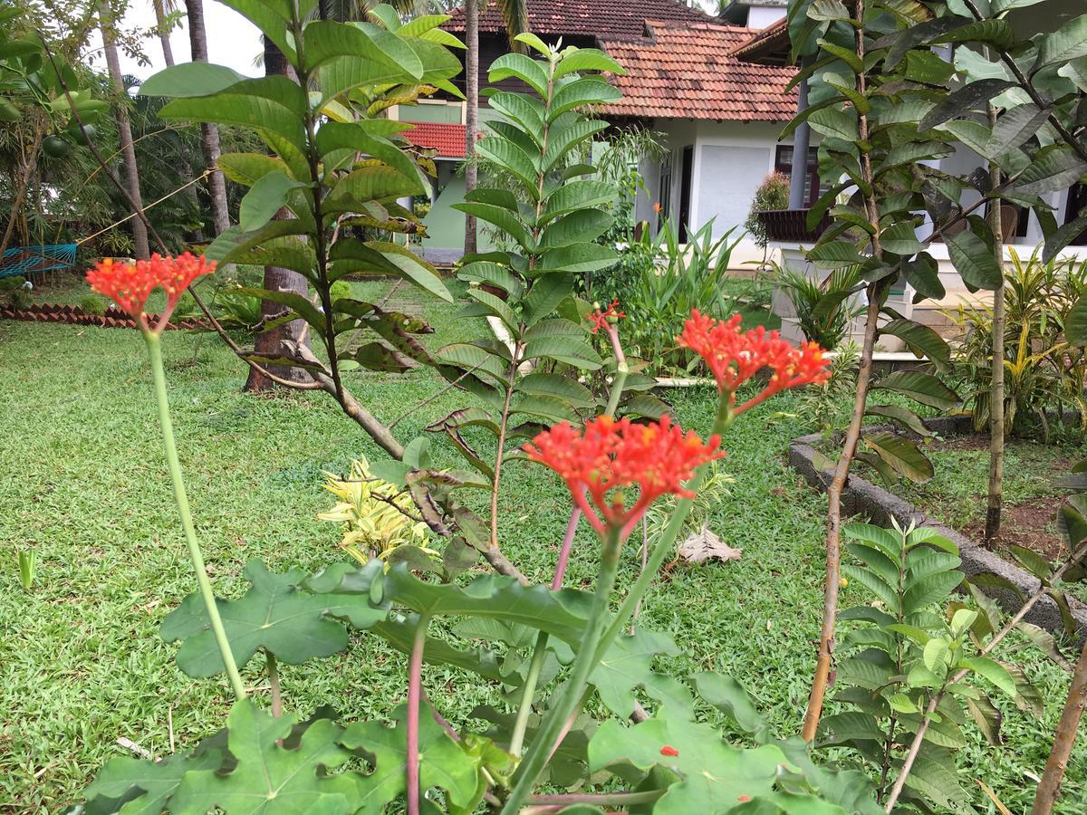 Divine Bliss Beach Resort Varkala Eksteriør billede