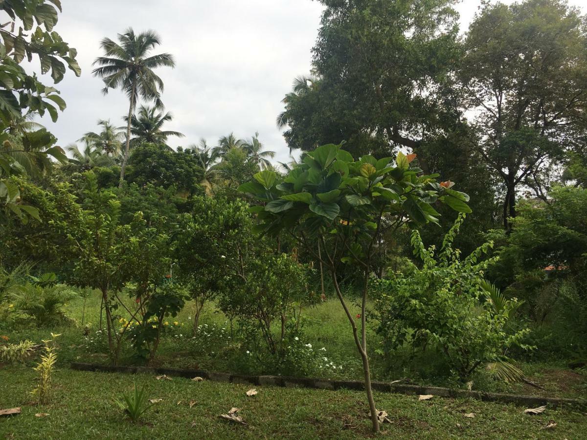 Divine Bliss Beach Resort Varkala Eksteriør billede
