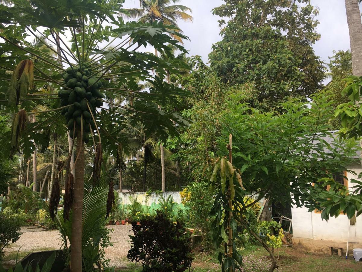 Divine Bliss Beach Resort Varkala Eksteriør billede