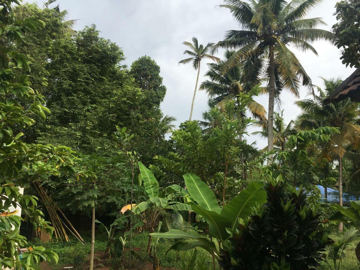 Divine Bliss Beach Resort Varkala Eksteriør billede