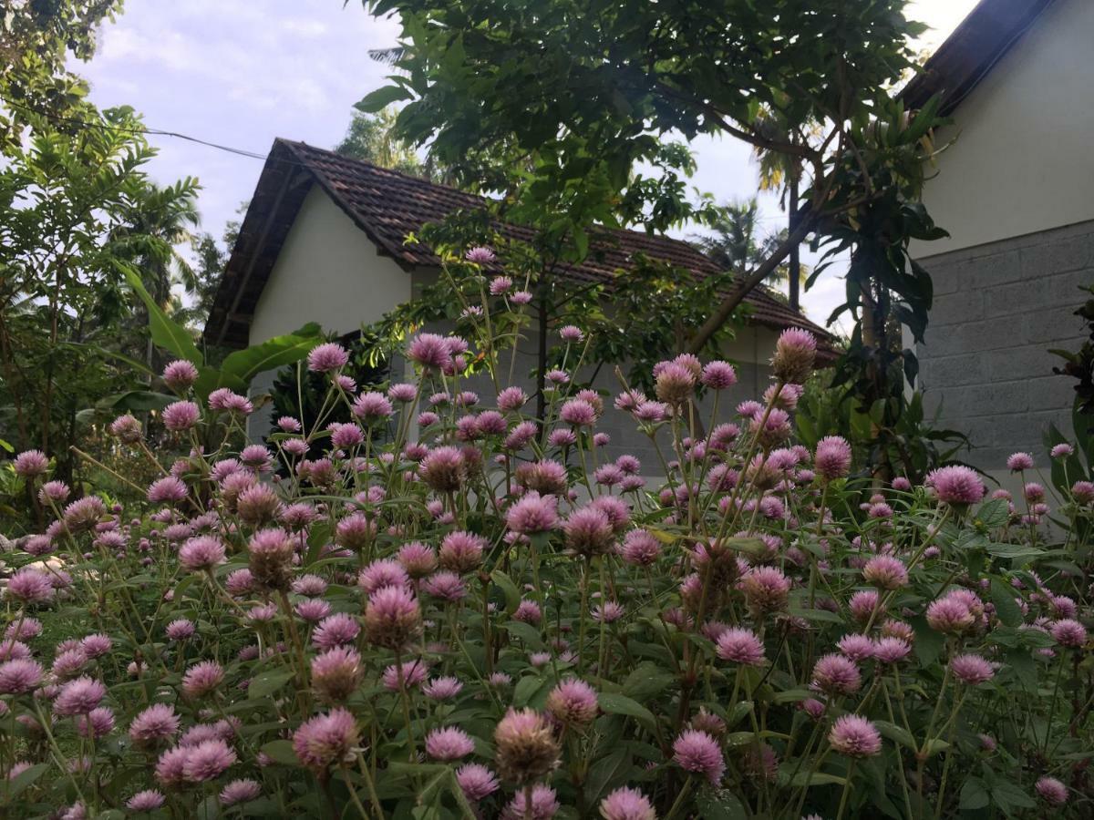 Divine Bliss Beach Resort Varkala Eksteriør billede
